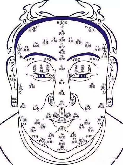 面相分析圖|面相图解